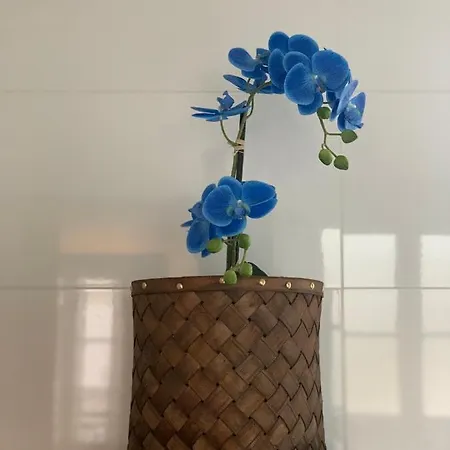 Natysweethome
